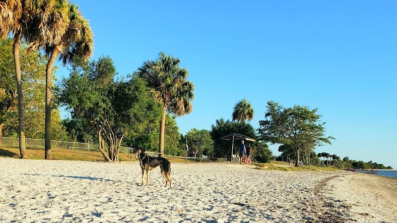 Dog Beach at Picnic Island Park - Tampa, FL
