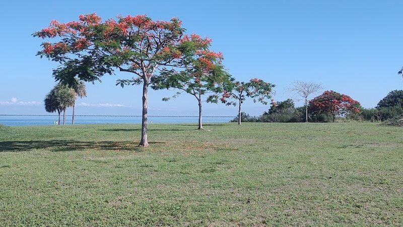 Dog Beach at Picnic Island Park - Tampa, FL