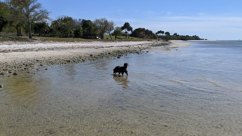 Dog Beach at Picnic Island Park - Tampa, FL