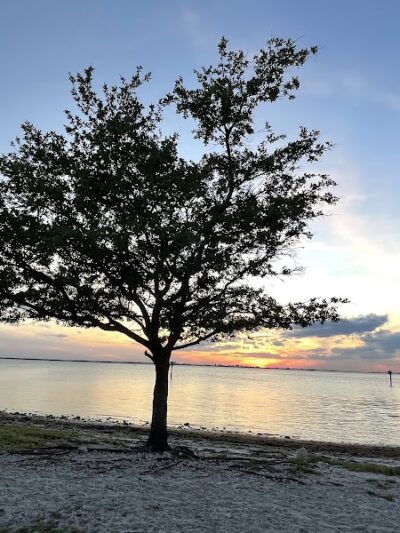 Dog Beach at Picnic Island Park - Tampa, FL