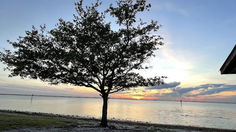 Dog Beach at Picnic Island Park - Tampa, FL