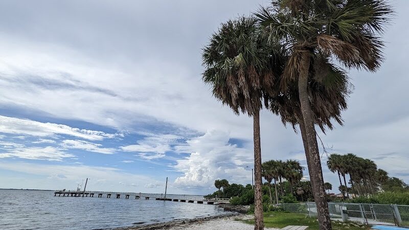 Dog Beach at Picnic Island Park - Tampa, FL