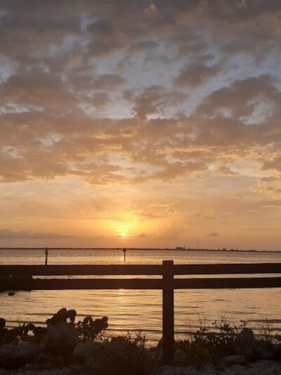 Dog Beach at Picnic Island Park - Tampa, FL