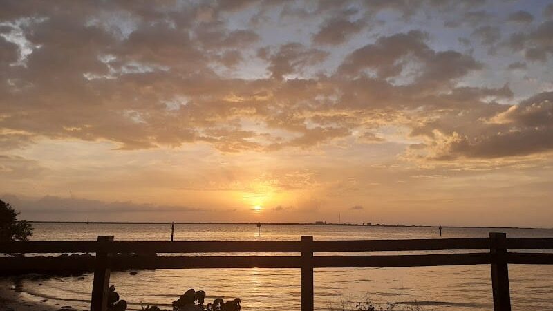Dog Beach at Picnic Island Park - Tampa, FL