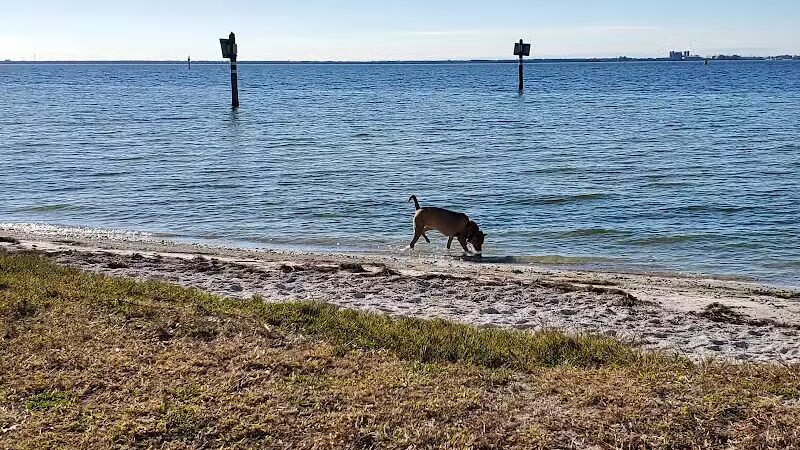 Dog Beach at Picnic Island Park - Tampa, FL