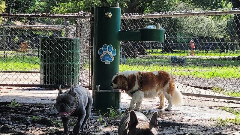 Dog Park at Al Lopez Park - Tampa, FL
