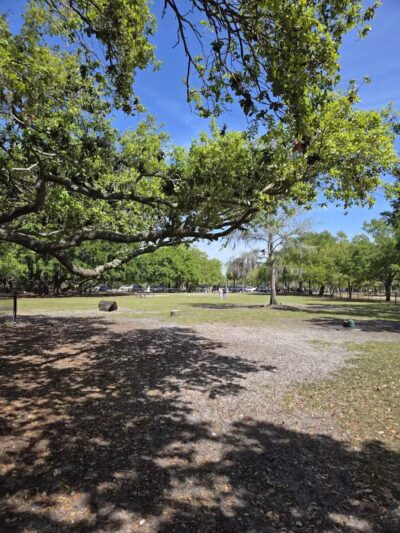 Dog Park at Al Lopez Park - Tampa, FL