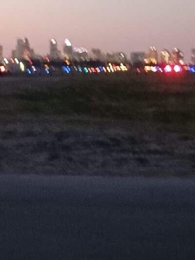 Dog Park Path - Tampa, FL