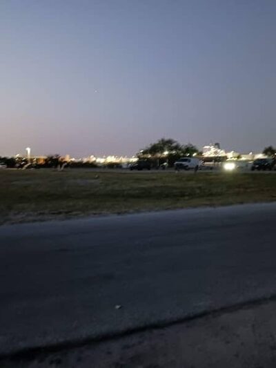 Dog Park Path - Tampa, FL