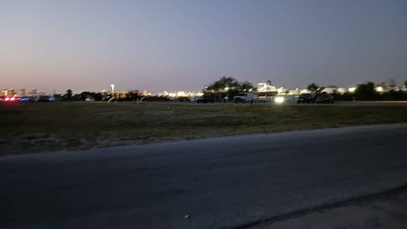 Dog Park Path - Tampa, FL