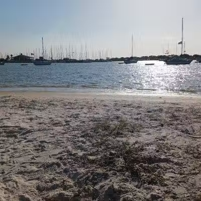 Dog Park Path - Tampa, FL
