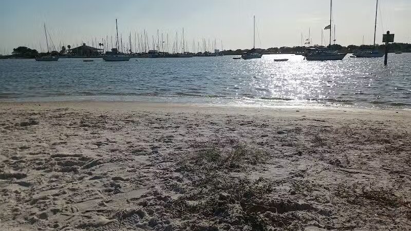 Dog Park Path - Tampa, FL