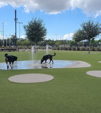 Dog Parks at Julian B. Lane Riverfront Park - Tampa, FL