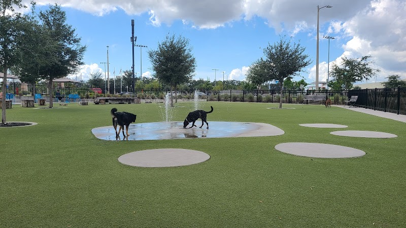 Dog Parks at Julian B. Lane Riverfront Park - Tampa, FL