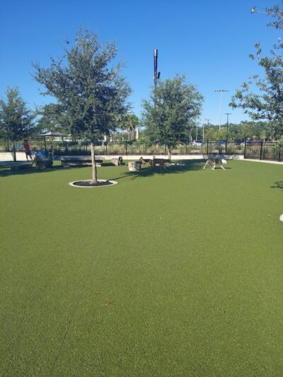 Dog Parks at Julian B. Lane Riverfront Park - Tampa, FL