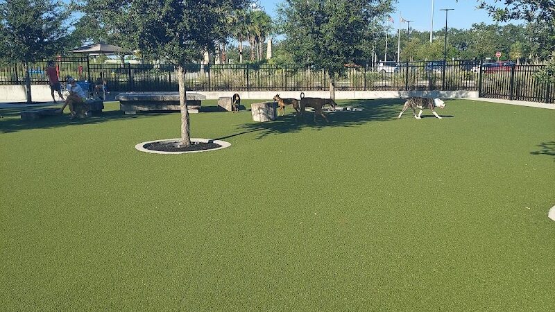Dog Parks at Julian B. Lane Riverfront Park - Tampa, FL