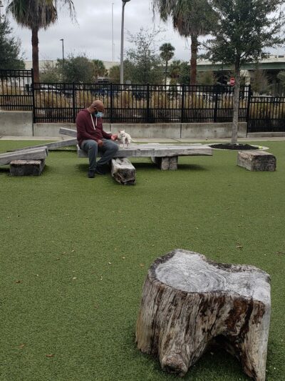 Dog Parks at Julian B. Lane Riverfront Park - Tampa, FL