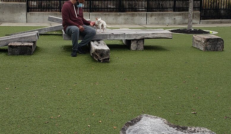 Dog Parks at Julian B. Lane Riverfront Park - Tampa, FL