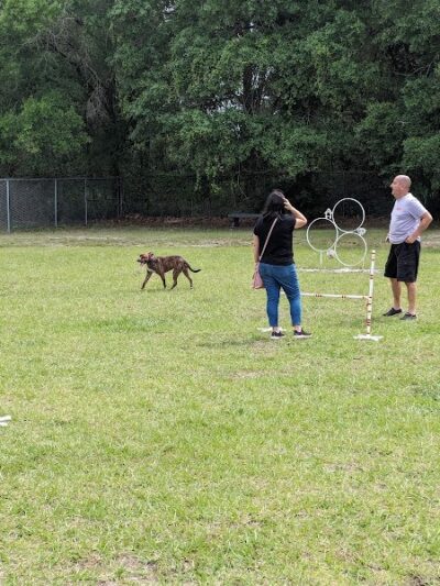 Don Hardy Park - Tampa, FL