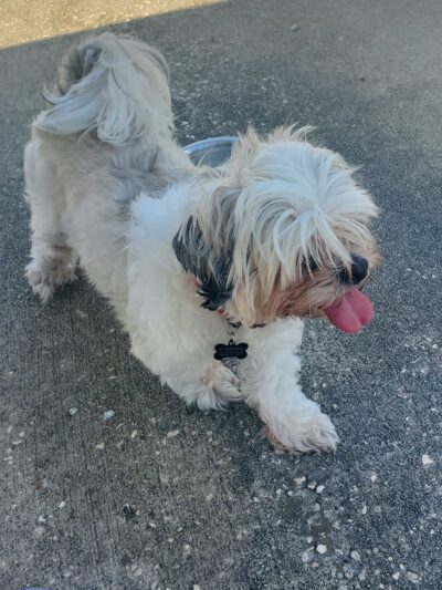 Don Hardy Park - Tampa, FL