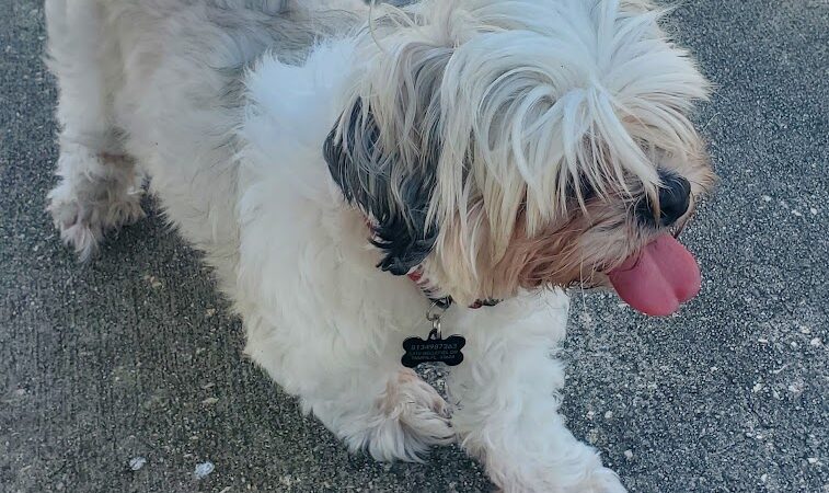 Don Hardy Park - Tampa, FL