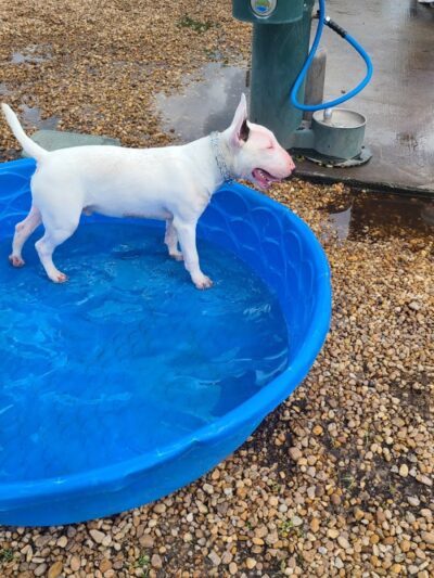 Don Hardy Park - Tampa, FL