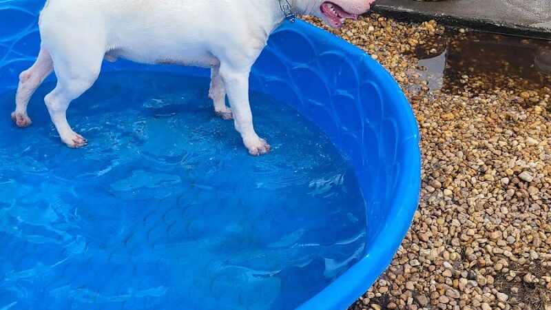 Don Hardy Park - Tampa, FL