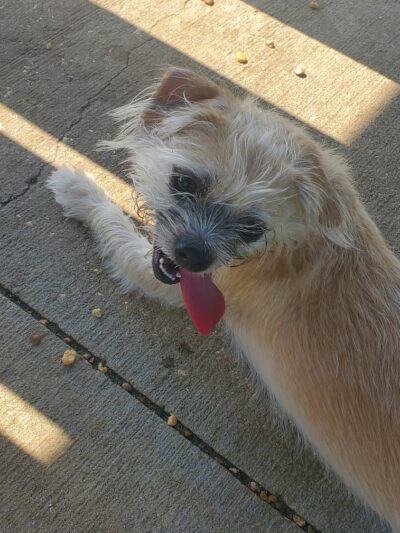 Don Hardy Park - Tampa, FL