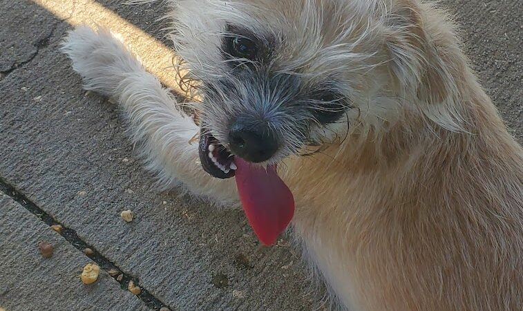 Don Hardy Park - Tampa, FL