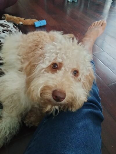 Don Hardy Park - Tampa, FL