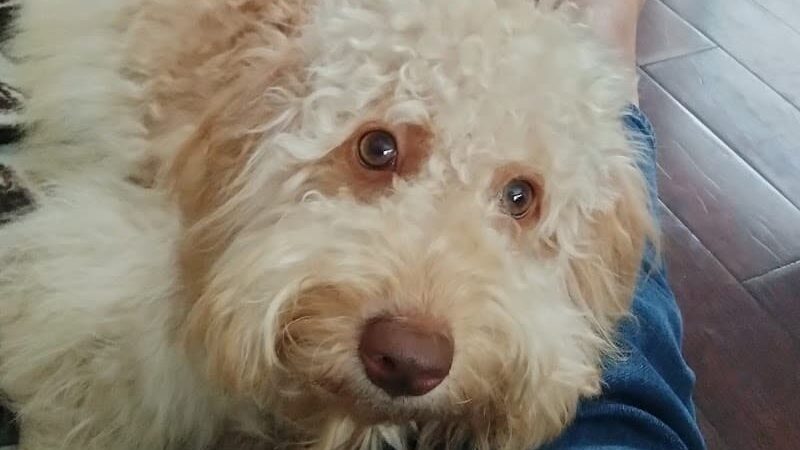 Don Hardy Park - Tampa, FL