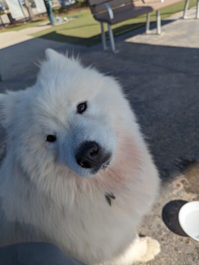 Don Hardy Park - Tampa, FL