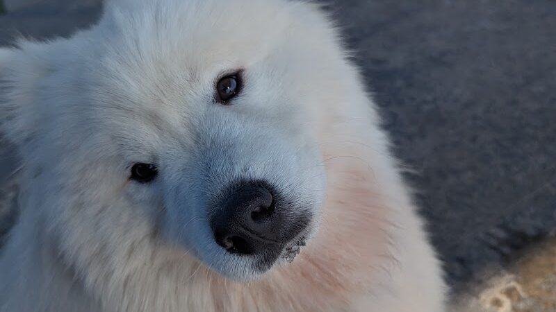 Don Hardy Park - Tampa, FL