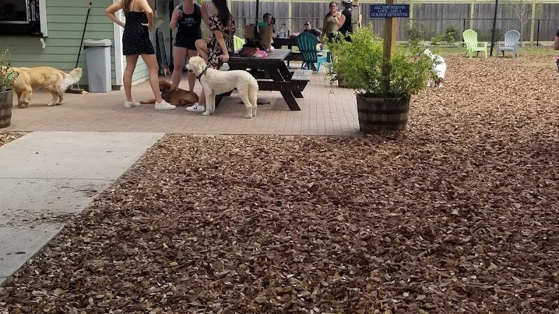 Hair of the Dog Park - Tampa, FL
