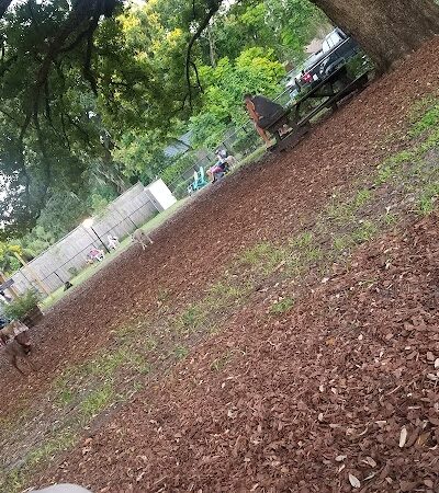 Hair of the Dog Park - Tampa, FL