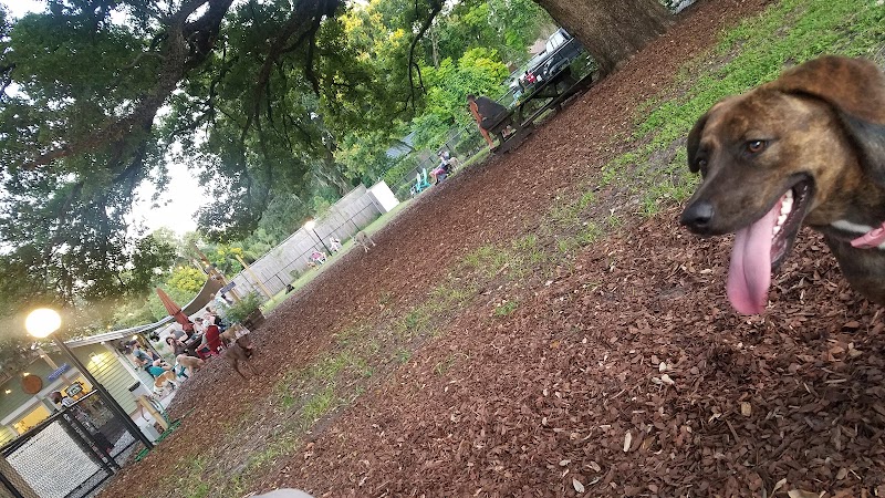 Hair of the Dog Park - Tampa, FL