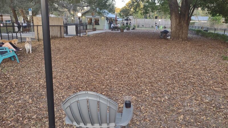 Hair of the Dog Park - Tampa, FL