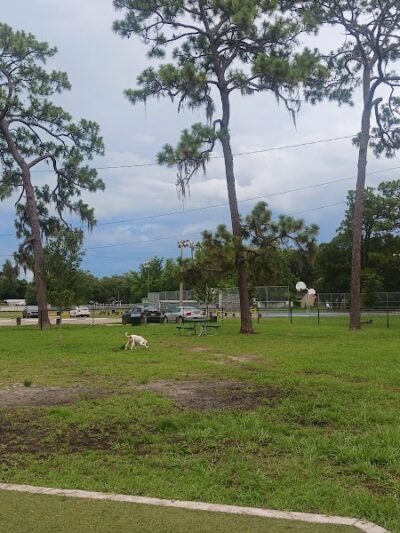 Henry & Ola Park - Tampa, FL