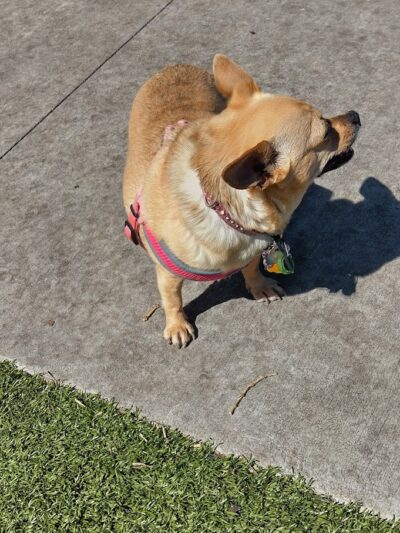 Henry & Ola Park - Tampa, FL