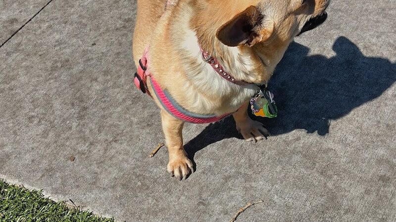 Henry & Ola Park - Tampa, FL