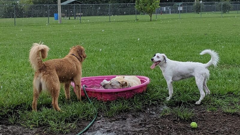 Logan Gate Dog Park - Tampa, FL