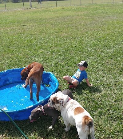 Logan Gate Dog Park - Tampa, FL