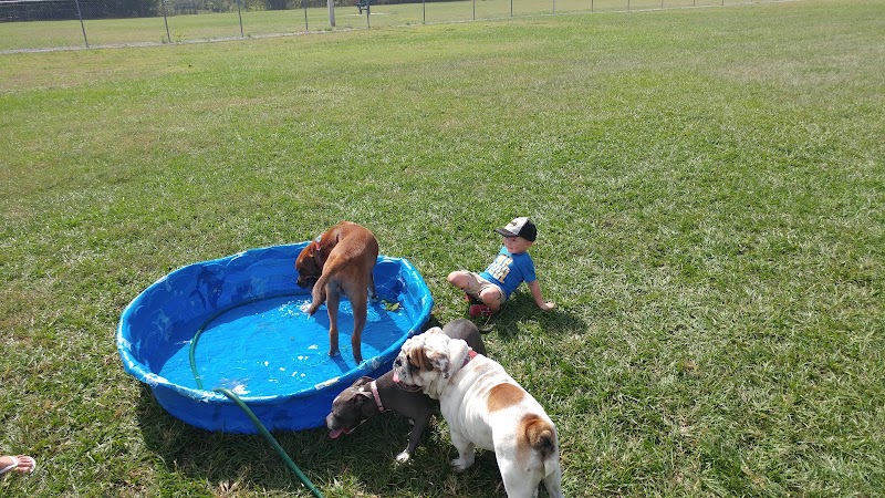 Logan Gate Dog Park - Tampa, FL