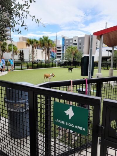 Madison Street Dog Park - Tampa, FL