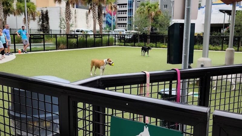 Madison Street Dog Park - Tampa, FL