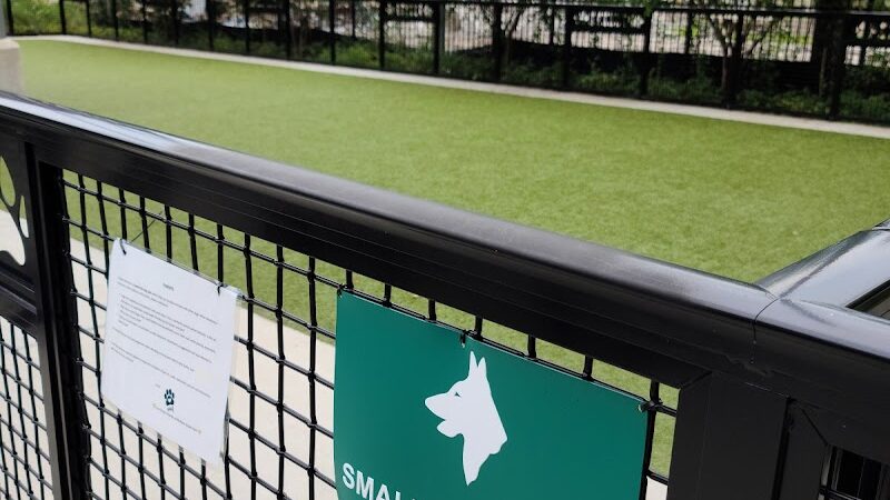 Madison Street Dog Park - Tampa, FL