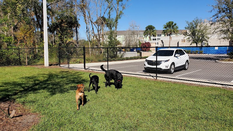 New Tampa Dog Park - Tampa, FL