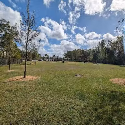 New Tampa Dog Park - Tampa, FL