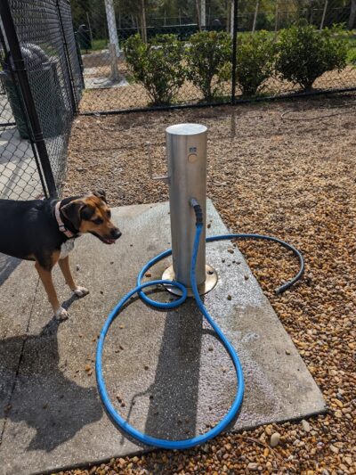 New Tampa Dog Park - Tampa, FL