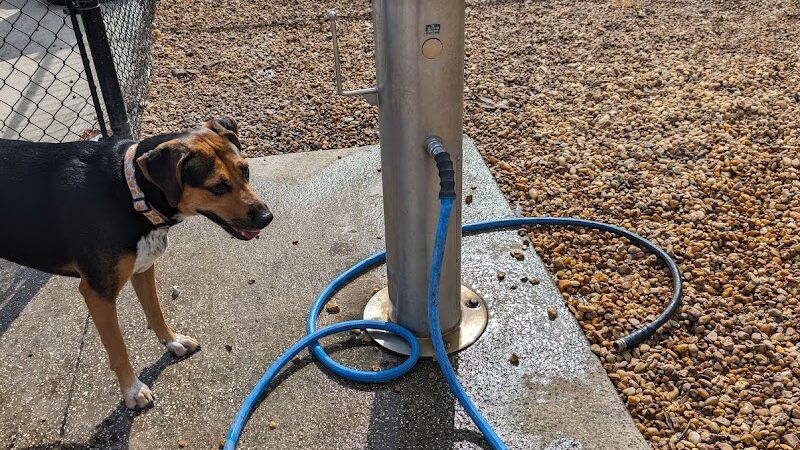 New Tampa Dog Park - Tampa, FL